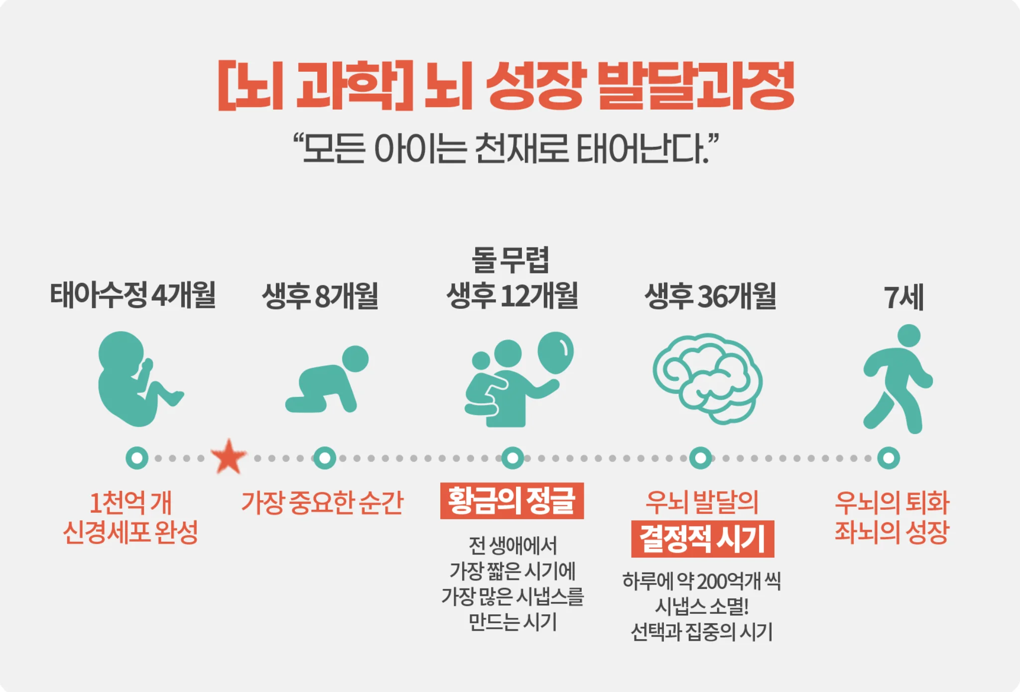 뇌 성장 발달 과정 - 태아 수정 4개월부터 7세까지의 뇌 발달 단계