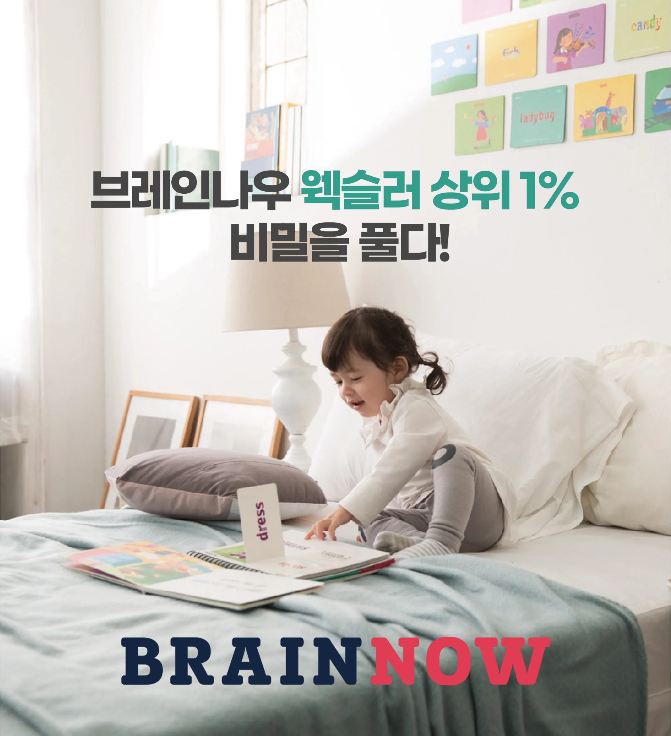 브레인나우 상세 정보 1 - 프로그램 소개