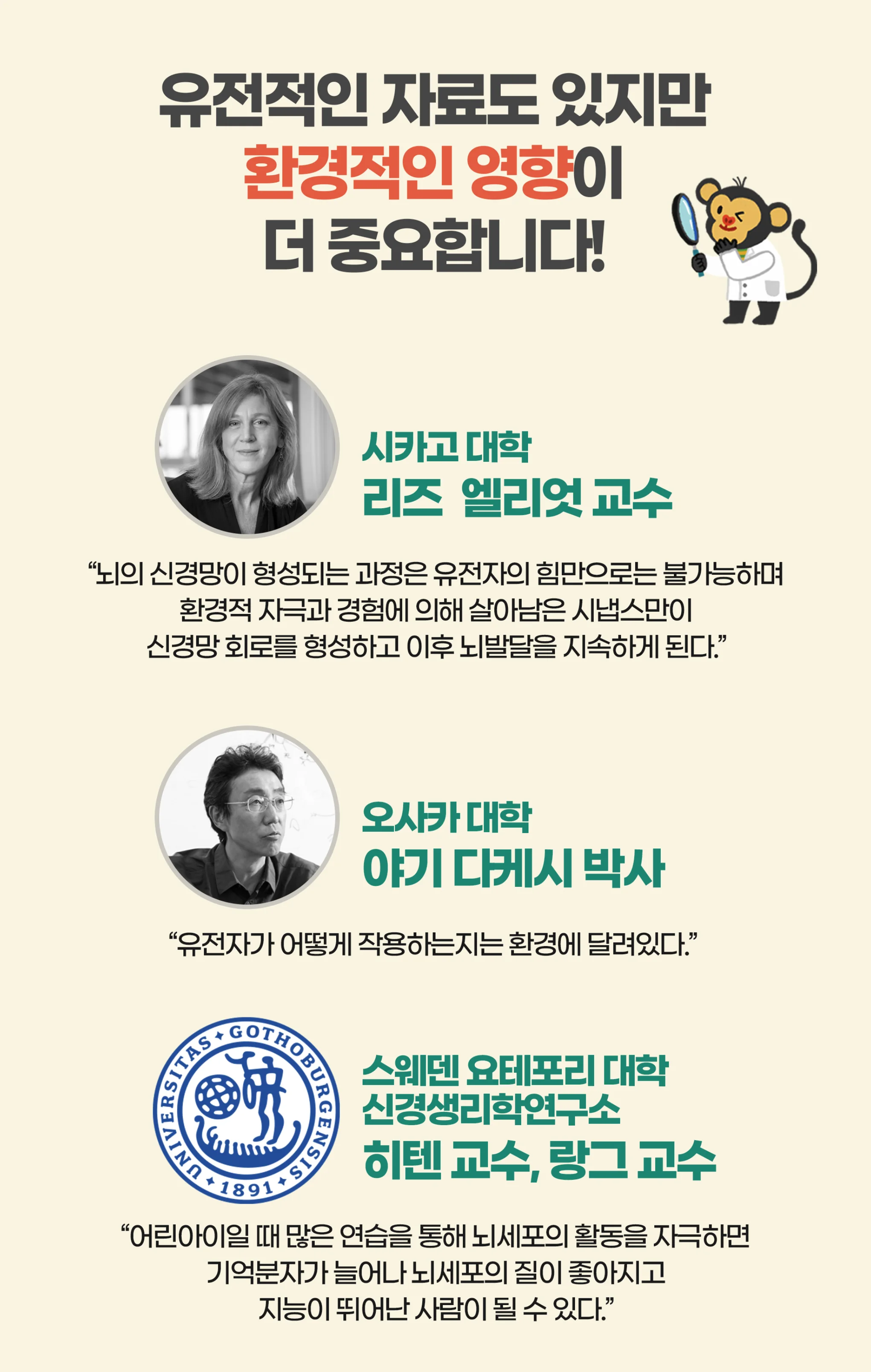 브레인나우 상세 정보 5 - 학습 단계